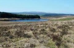 Loch Crongart - Barrhill