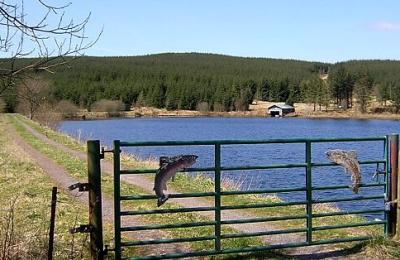 Loch Ettrick - Thornhill