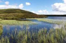 Loch Fender - Amulree