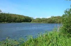 Loch Fergus - Ayr