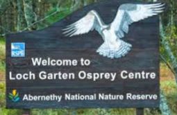 Loch Garten Osprey Centre - Nethybridge