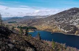 Loch Gynack - Kingussie