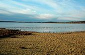 Loch Indaal - Isle of Islay