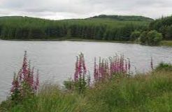 Loch Kennard - Aberfeldy