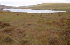 Loch Laro - Bonar Bridge