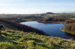 Loch Libo - Neilston