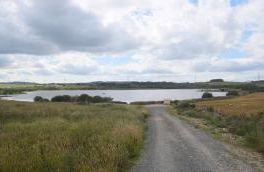 Loch Lily - Aberdeen