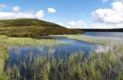 Loch na Craige - Aberfeldy