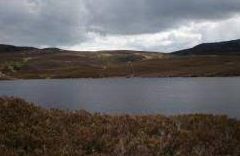 Loch Neaty - Struy