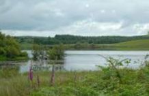 Loch Ochiltree - Glenluce