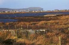 Loch of Mey - Scarfskerry