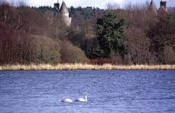 Loch of Skene - Aberdeen