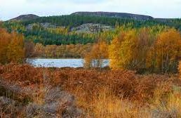 Loch Ruthven Nature Reserve - Inverness