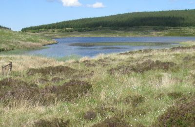 Loch Scalloch - Barr