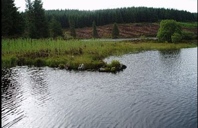 Loch Skae - Moniaive