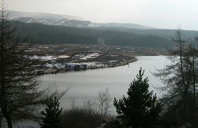 Loch Skelloch - Girvan