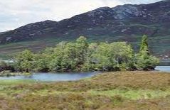 Loch Tarff - Fort Augustus