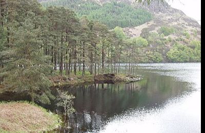 Loch Trool - Newton Stewart