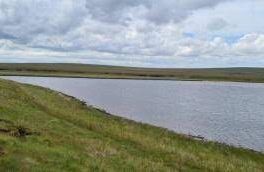 Loch Tuim Ghlais - Altnabreac