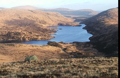 Loch Valley - Newton Stewart