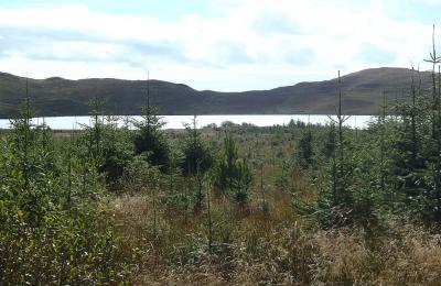 Loch Whinyeon - Gatehouse of Fleet