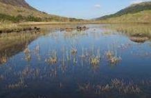 Lochan a'Chothruim - Strontian