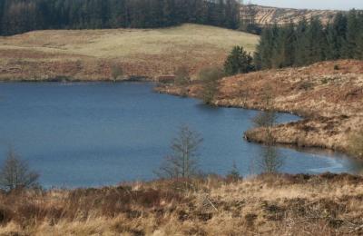 Lochenbreck Loch - Balmaghie