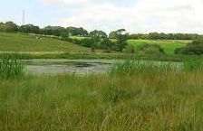 Lochend Loch - Easterhouse