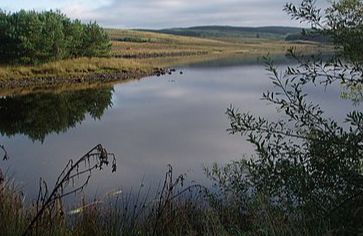 Lochinvar Loch - Dalry