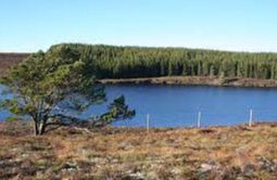 Lochs of Little Benshalag - Cardhu