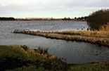 Loirston Loch - Aberdeen