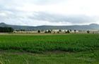 Lomond Hills - Falkland