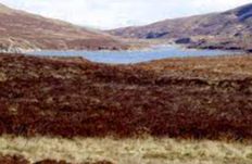 Loch Lonachan - Broadford