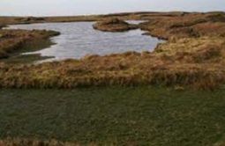 Loomer Shun - Isle of Unst