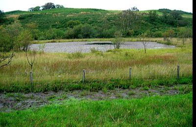 Lowes Loch - Beith