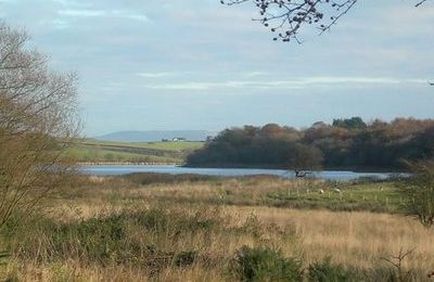 Martnaham Loch - Ayr