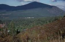 Meall a' Bhuachaille - Grantown-on-Spey