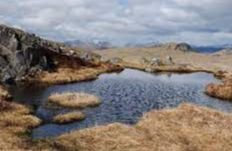 Meall an Fheur Loch - Dingwall