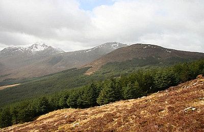 Meall Odhar - Tyndrum