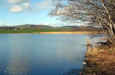 Mill Loch - Lochmaben