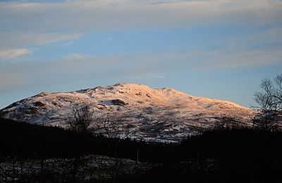 Millfore - Newton Stewart