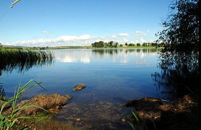 Milton Loch - Crocketford