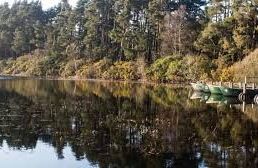 Monikie Country Park