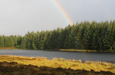 Moodlaw Loch - Eskadalemuir