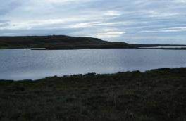 Nether Sanders Loch - Dunnet Head