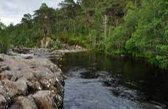 River Cannich - Cannich