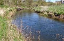 River Eden - St Andrews