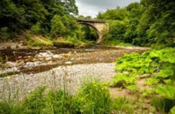 River Esk Walk - Carlops