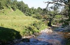 River Fiddich - Dufftown