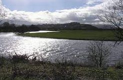 River Forth - Aberfoyle